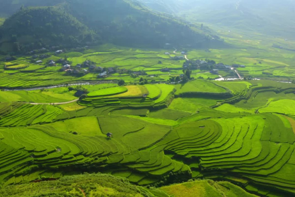 7D6N Magical Mu Cang Chai & Stunning Sapa Tour - photo 5